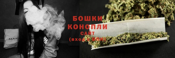 мдпв Краснослободск