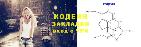 мдпв Краснослободск