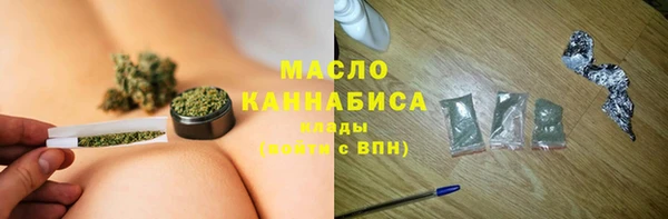 мдпв Краснослободск