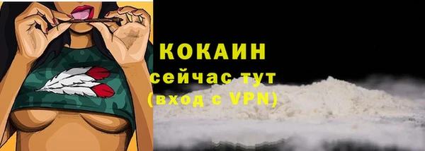 мдпв Краснослободск