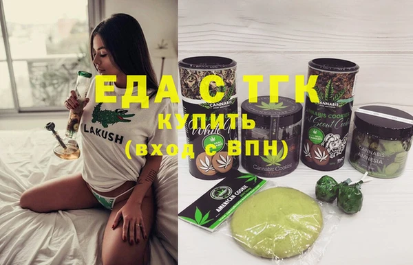 мдпв Краснослободск