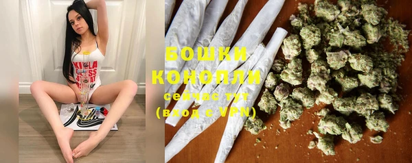 индика Красноперекопск