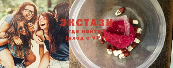 мдпв Краснослободск