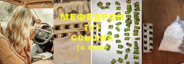мдпв Краснослободск
