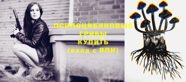 мдпв Краснослободск