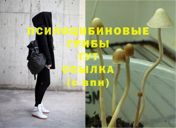 мдпв Краснослободск